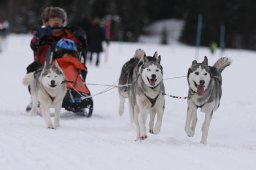 Lenzerheide 2013